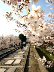 道