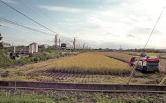 沿線の刈り入れ風景