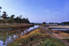 街の風景「西浦川冬景」