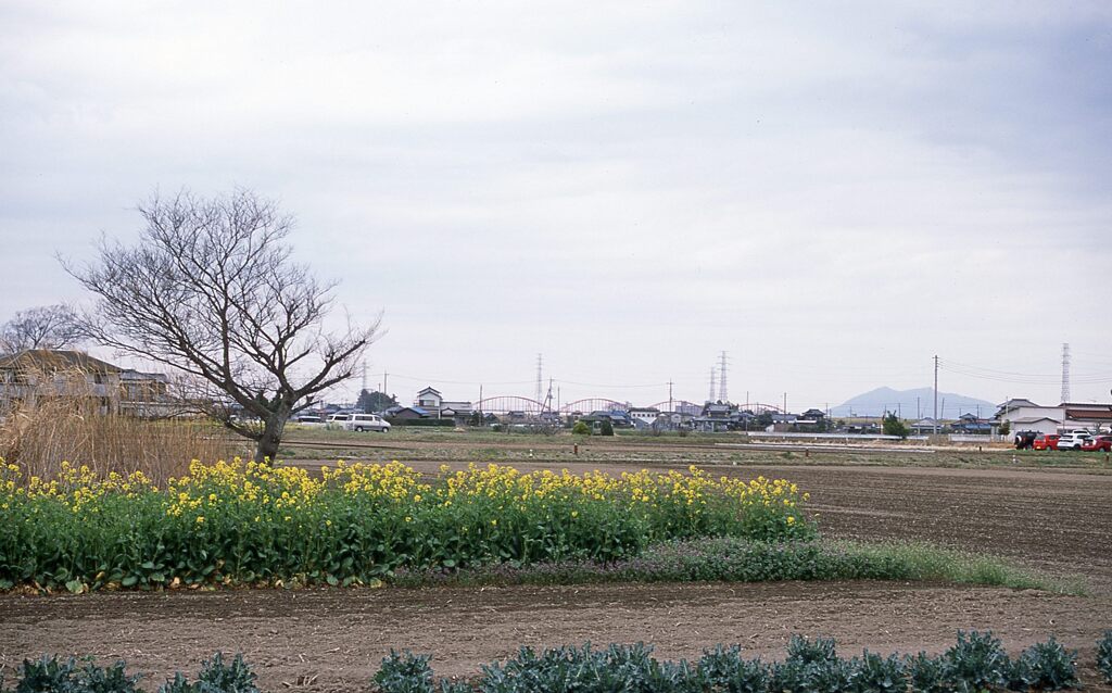 季節の風景