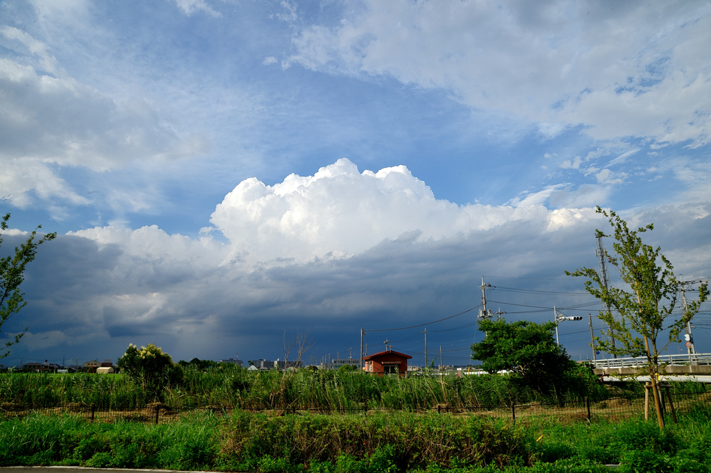 夏空