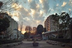 夕日に染まる
