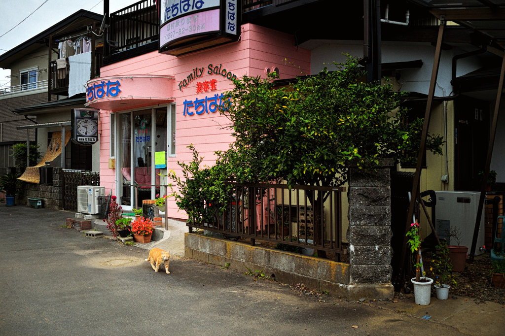 街の風景「田舎の美容室」