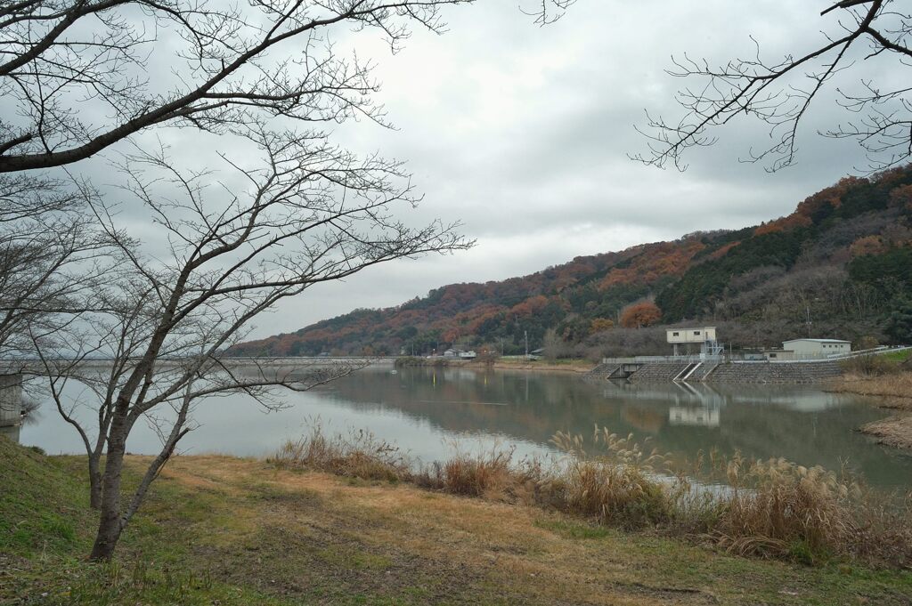 つくし湖