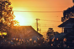 晩秋の夕陽