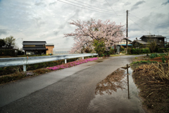 街の風景「雨上り」