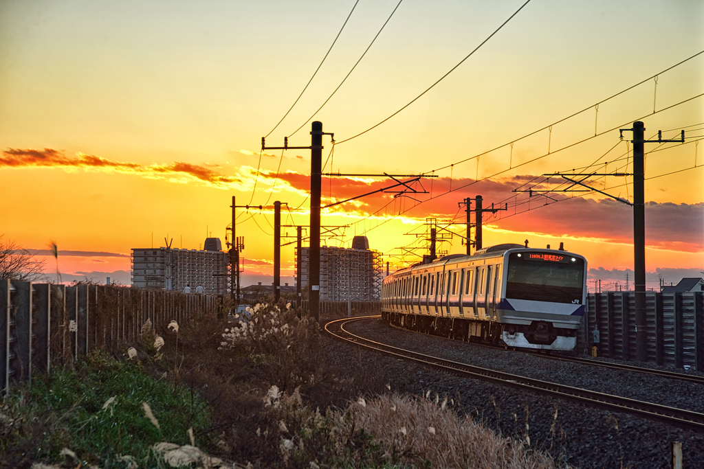 夕景を走る上野東京ライン