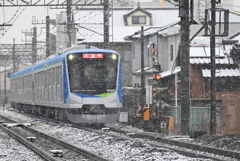 これから頑張る
