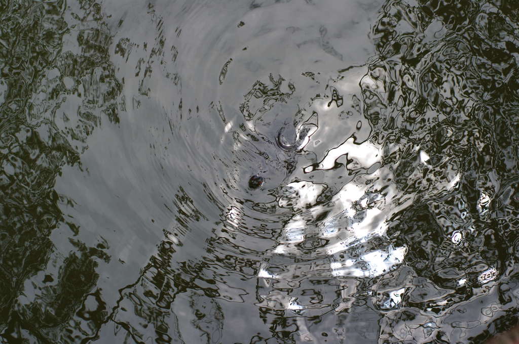 IMGP5021