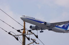 飛行機