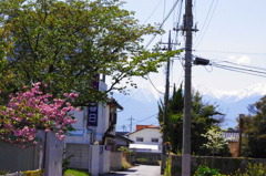 IMGP2608