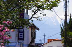 IMGP2609