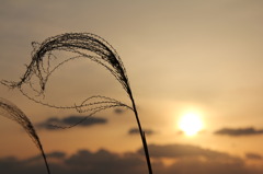 枕崎の夕日