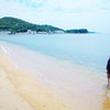 きれいな砂浜