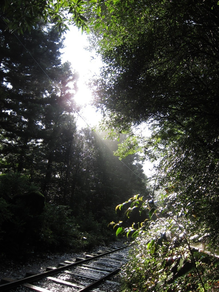屋久島