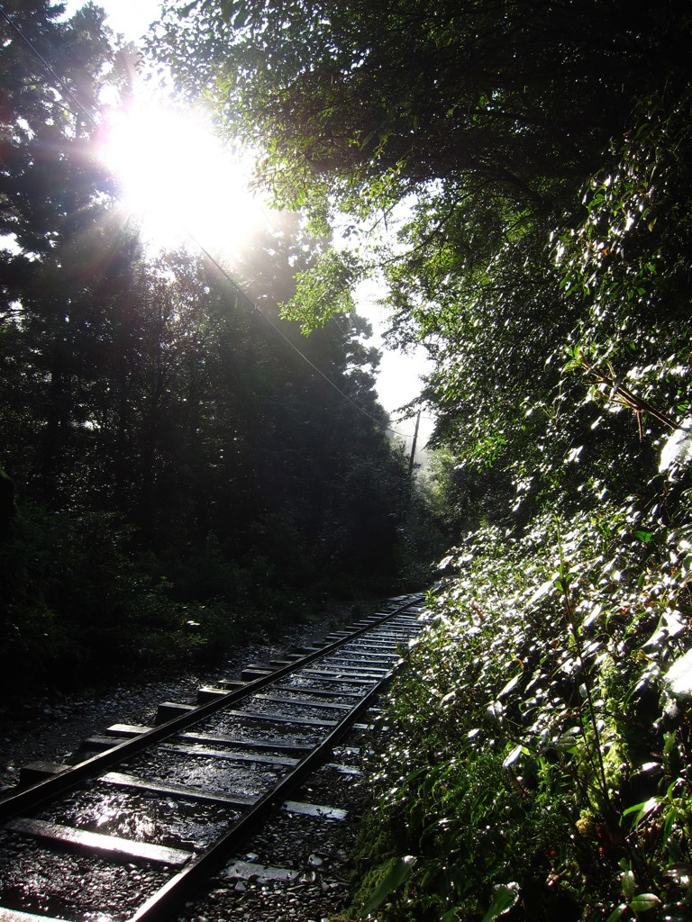 屋久島