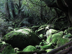 白谷雲水峡