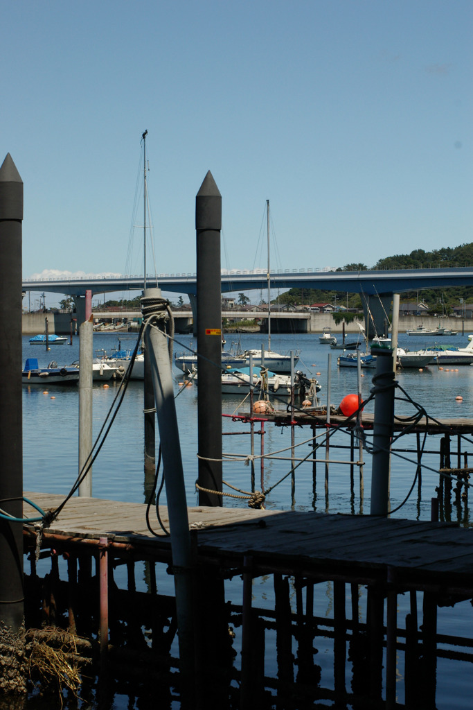 IMGP0439