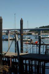 IMGP0439