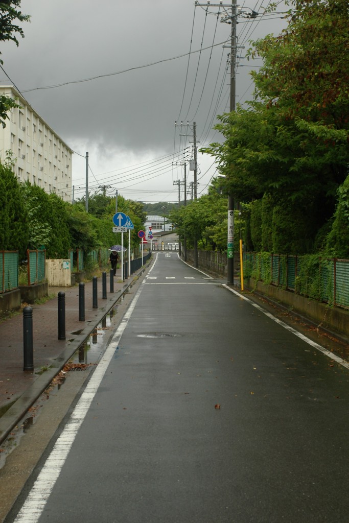 IMGP0885