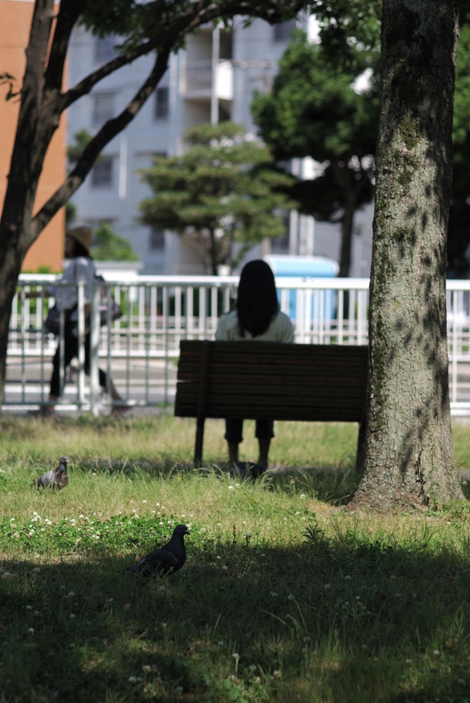 梅雨も人も鳩も・・ひと休み