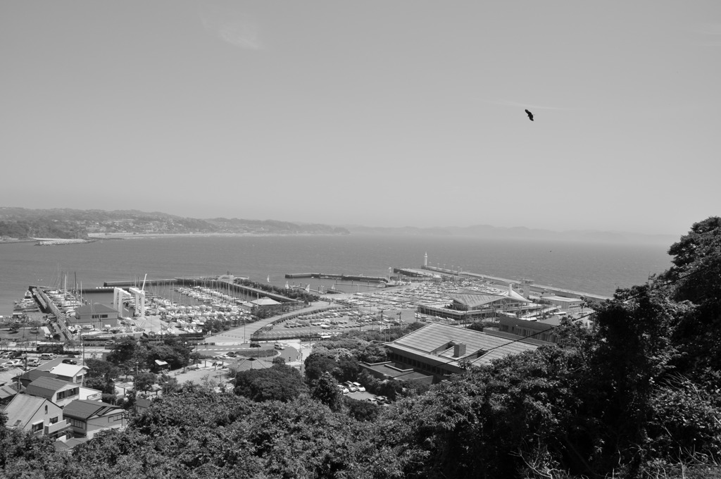 DSC_1197