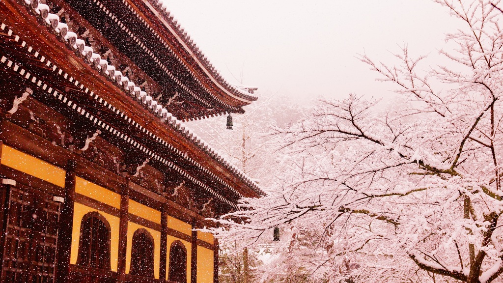 洛東 蹴上の大雪