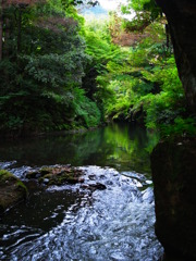 秋待ち遠し　こおろぎ橋