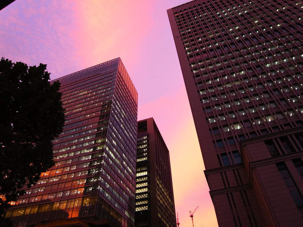 丸の内高層ビル上の夕暮れ By 濱の黒豹 Id 写真共有サイト Photohito