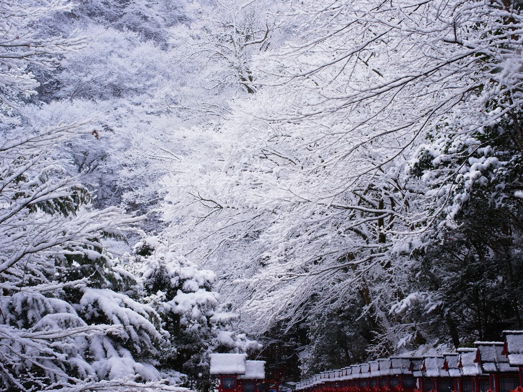 雪の京都