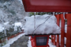 京都雪景色