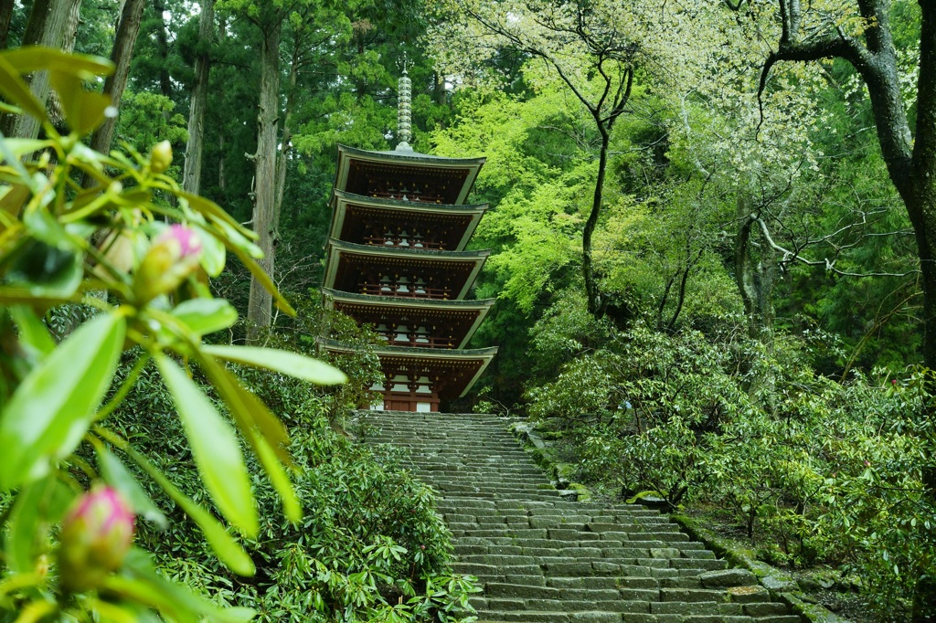 奥深い山寺