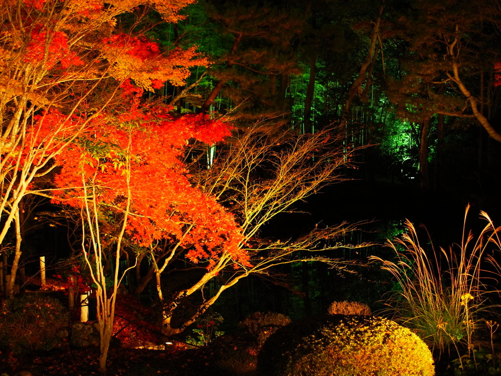 秋の夜長
