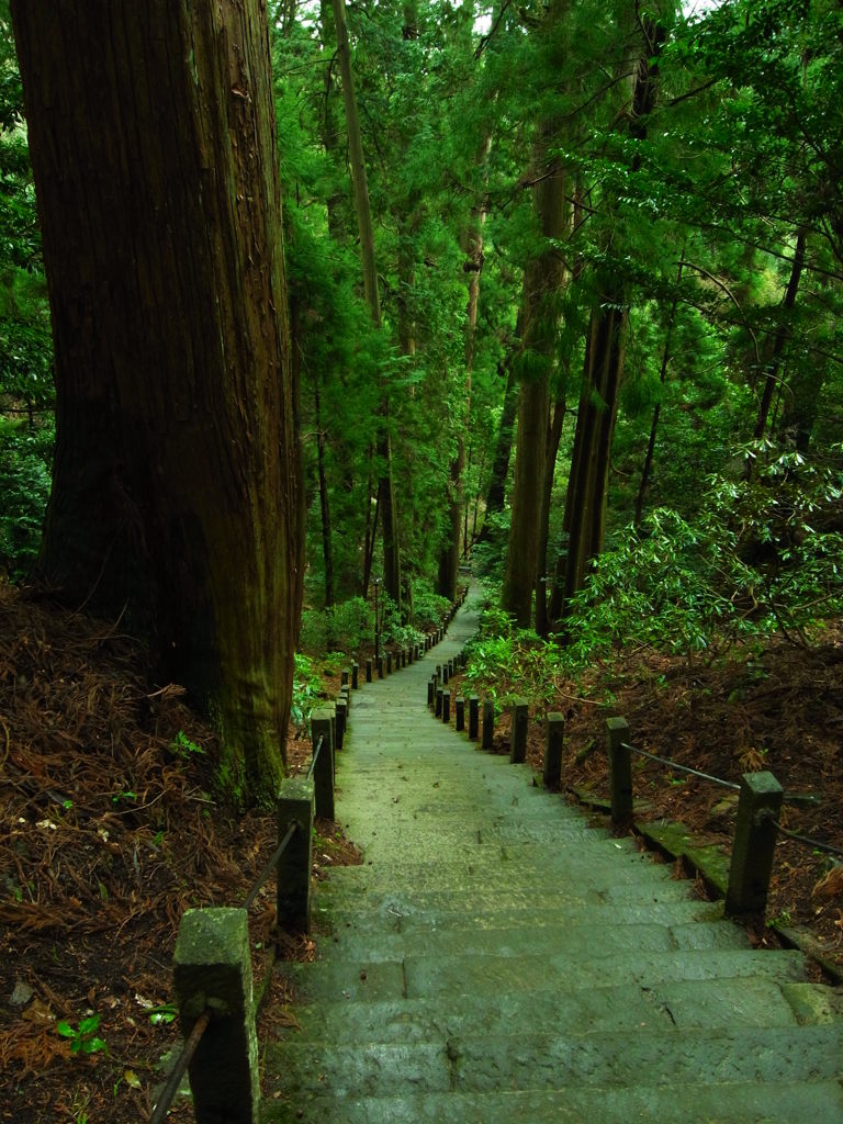 森の香り