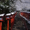 京都　「春への誘い」