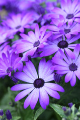 Macro World 02