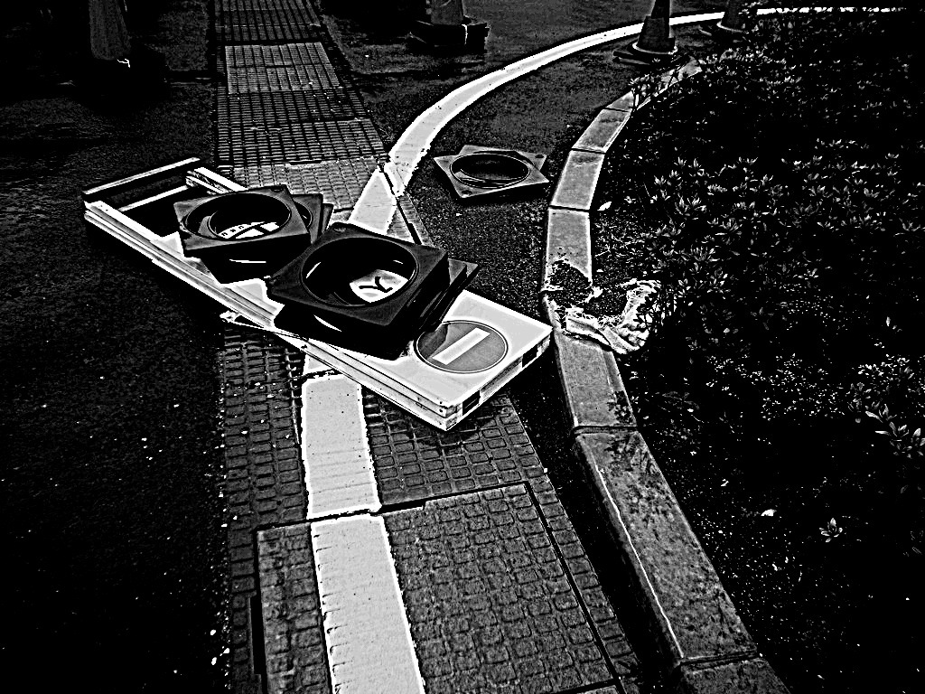 ぐったりの様相