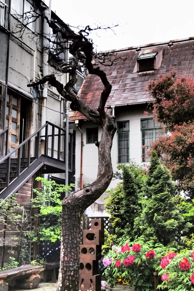 草木のある風景