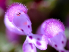 CIMG0034