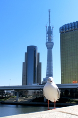 CIMG0125