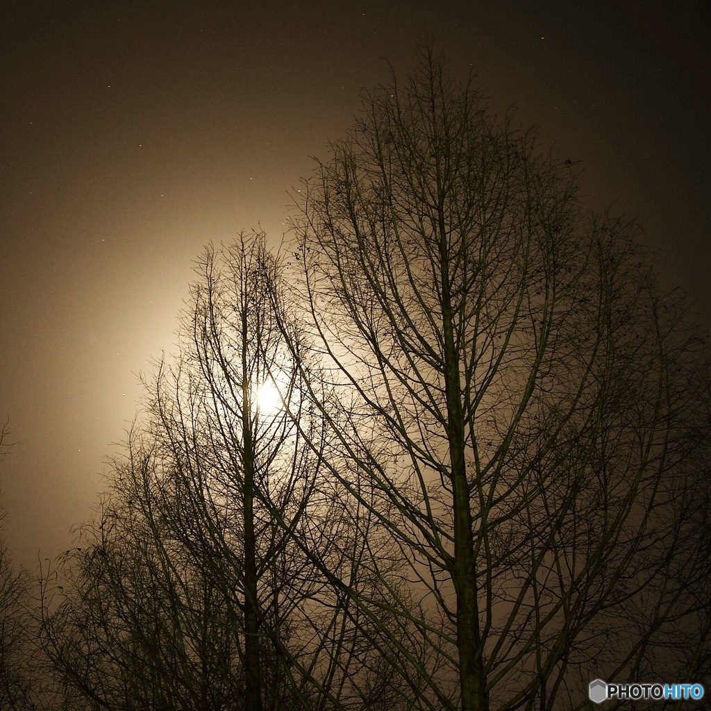moon beam