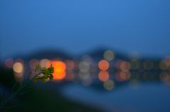 存在