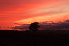 sunset clouds