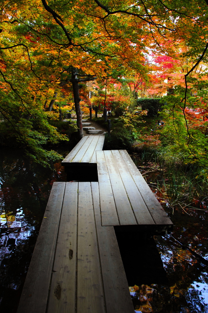 紅散路
