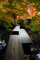 紅散路