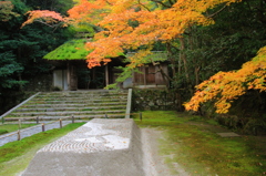 白砂壇にそそぐ