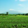 富士と茶畑