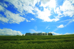 駆け抜ける風
