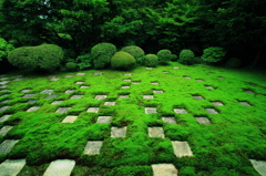 苔生す庭園