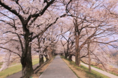 春色に続く道